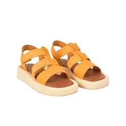 Pataugas ATARI/NU F2I OCRE -Pataugas Soldes SANDALE FEMME ATARI NU F2I OCRE 628448 251 4 0fc7fac9 5088 4f30 8f1a 4cc7a3bacf39